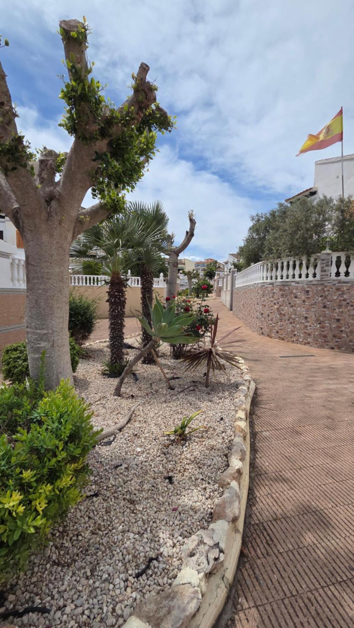 Villa Lenia Torrevieja Exterior photo